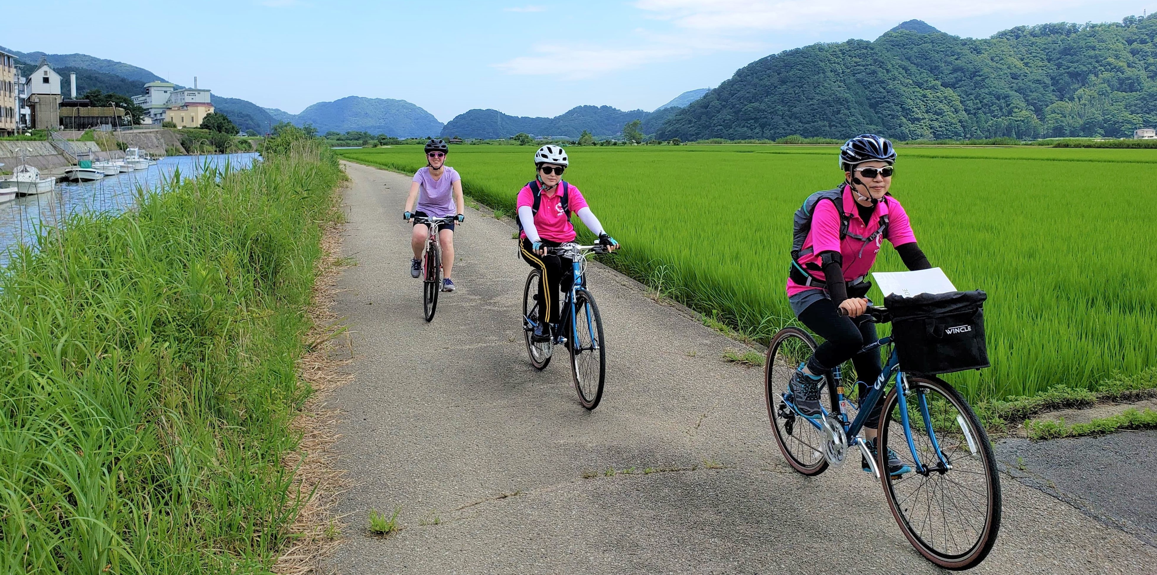 rowing action bicycle