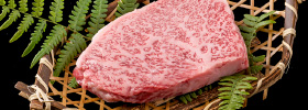 Tajima Beef