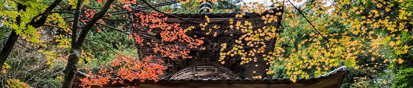 Fall leaves in Kinosaki Onsen onsenji