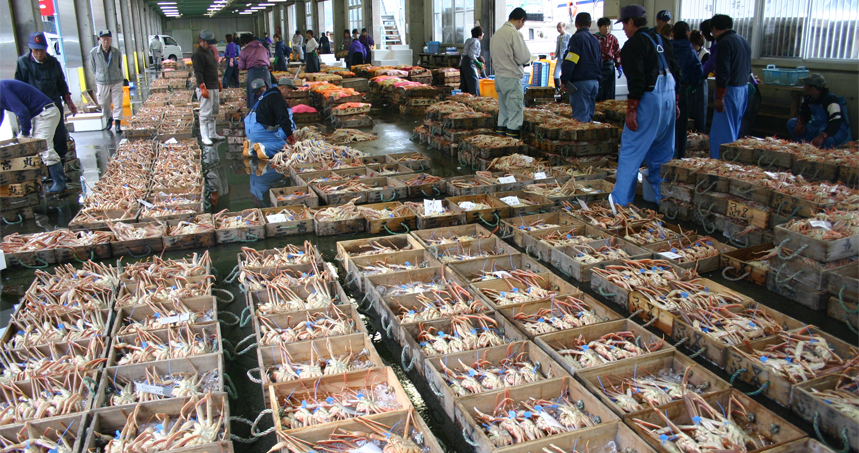 A picture of the Tsuiyama Fish Markets