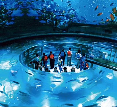 Japan aquarium family