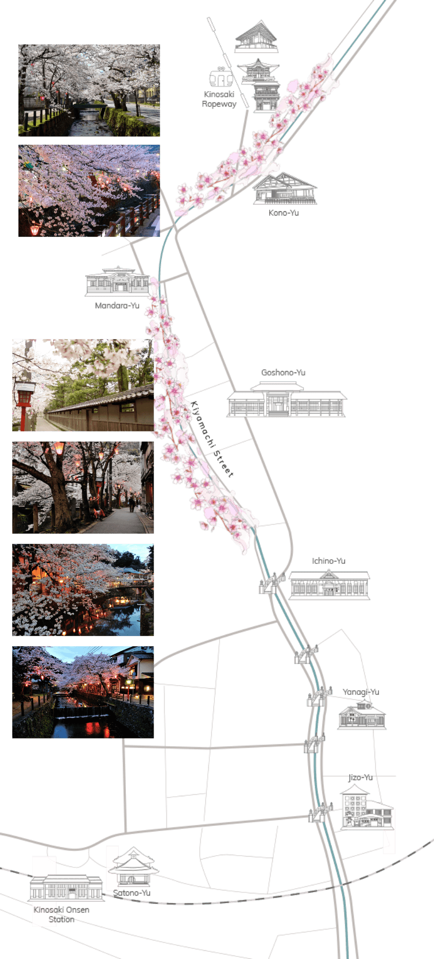 HOT SPRINGS & CHERRY BLOSSOMS - Visit Kinosaki