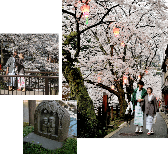 HOT SPRINGS & CHERRY BLOSSOMS - Visit Kinosaki