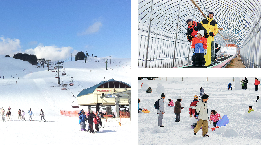 Enjoy winter sports in Kannabe