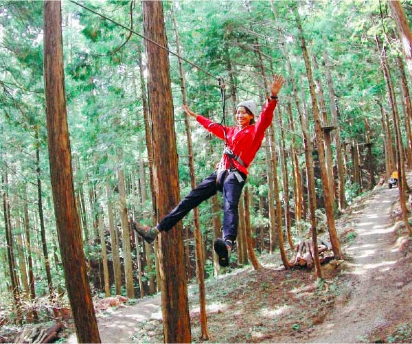  森林冒險繩索課程或健行