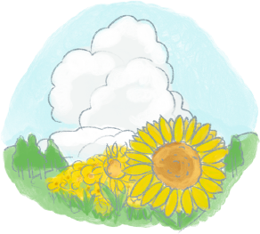 illustration of Tanto's sunflowers