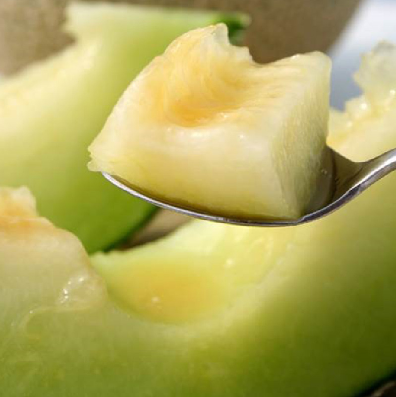 Melon (muskmelon)