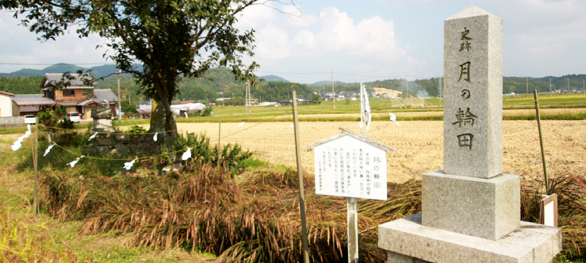 Birthplace of Japanese rice cultivation