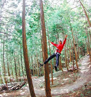 Oku-kannabe forest adventure ropes course