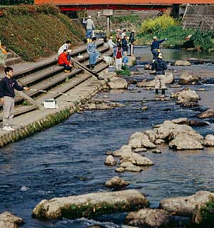 river fishing kannabe