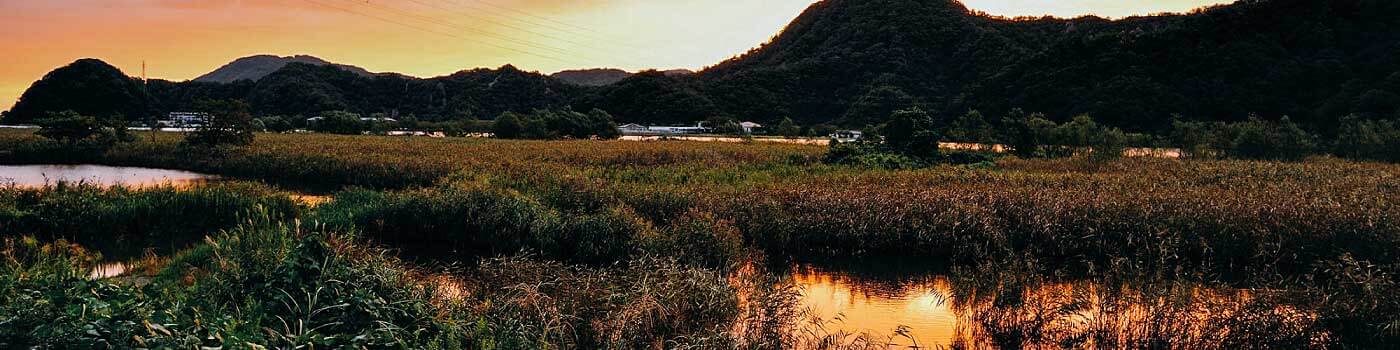 Sunset over the Maruyama River marshes