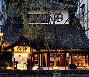 Yanagi-yu, one of the 7 onsen 