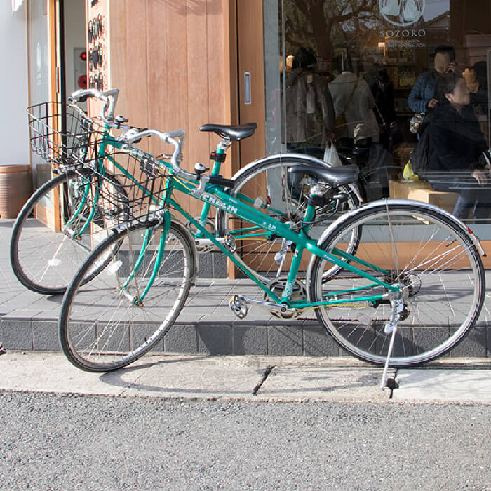 giant town bike