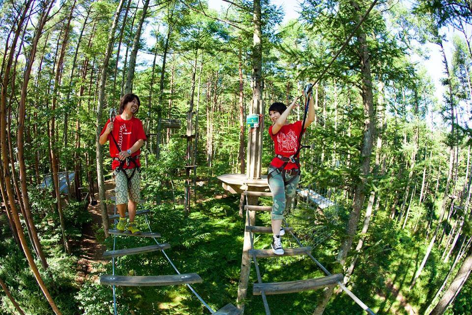 Forest Adventure In Kannabe Highlands Visit Kinosaki