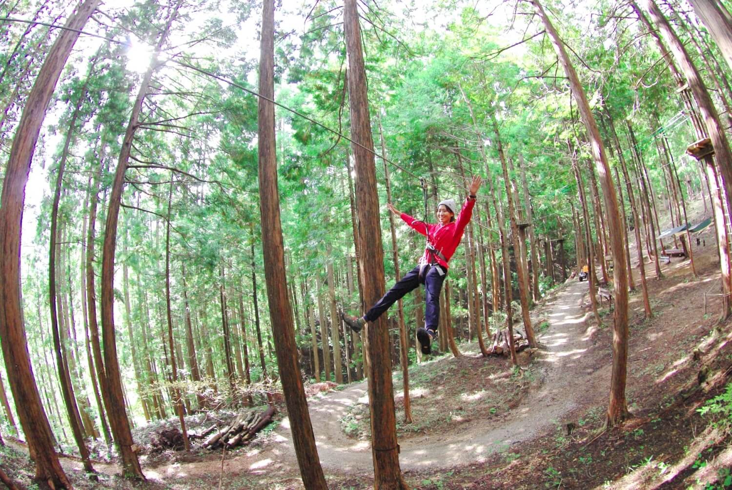 Forest Adventure In Kannabe Highlands Visit Kinosaki