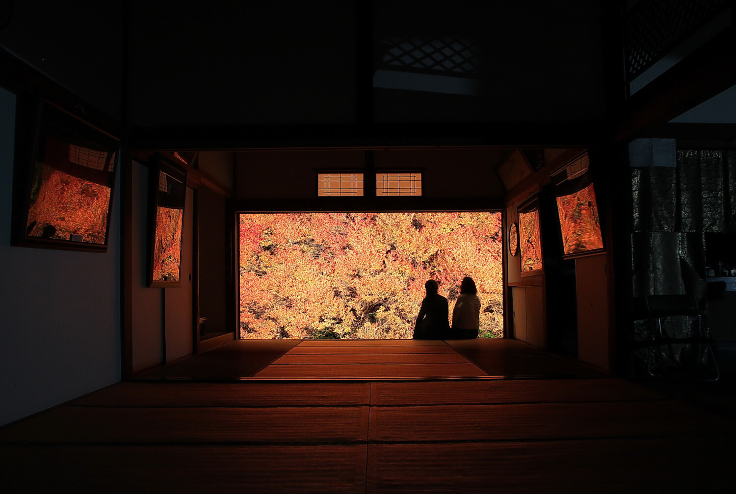 Dodan-Tsutsuji (mid-November)