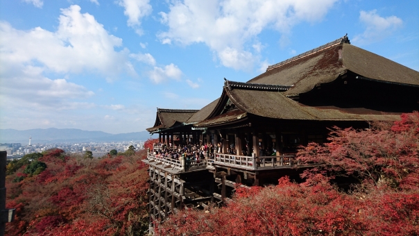 Kyoto Sightseeing