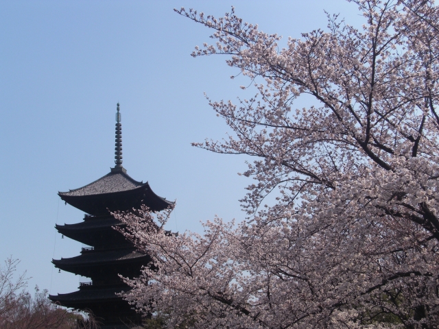 Kyoto Sightseeing
