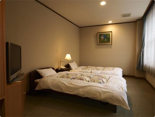 Western-Japanese hybrid room